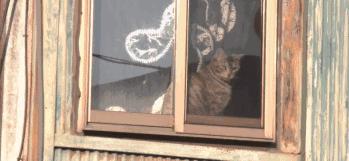 休息日没事干,休息日吃饭看电影