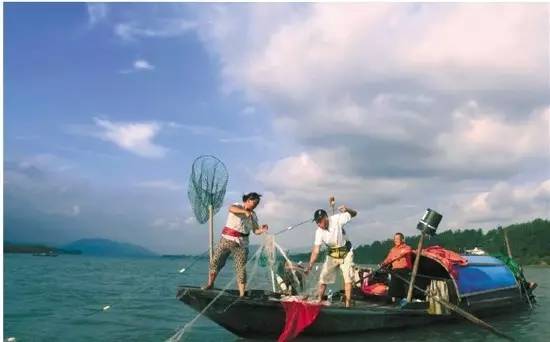 要抓心，先抓胃！春江镇巧借江鲜美食，征服吃货们的味蕾~