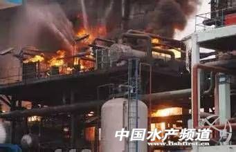 饲料工厂安全事故视频,饲料厂生产安全事故案例