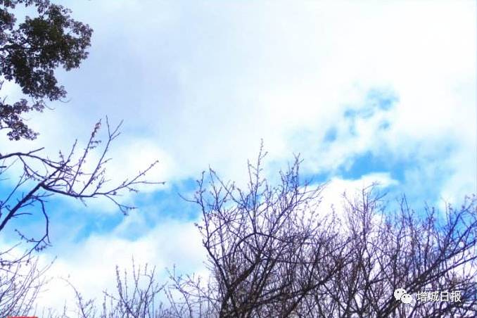 增城游玩推荐免费景点攻略,增城免费旅游景点攻略