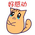 如何找以前的准考证,找到十几年前准考证