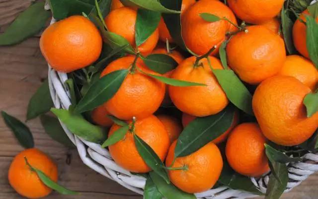 6种水果煮熟后或营养翻倍,全球公认六种养生水果