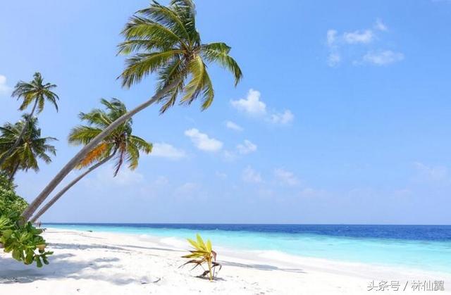 马尔代夫一价全包岛亲子游,马尔代夫的亲子游