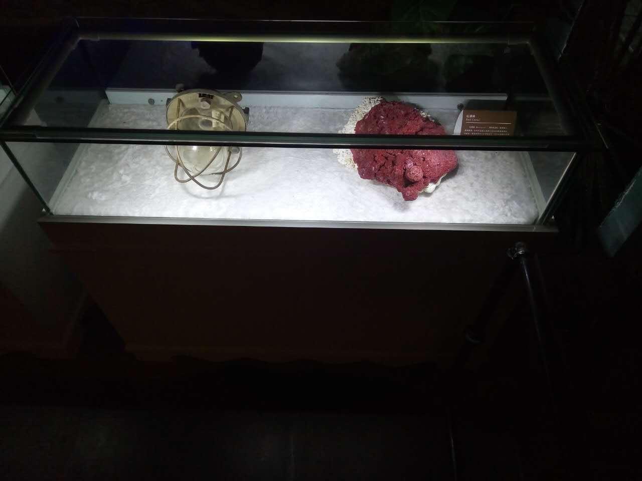 皇马假日南海博物馆主题酒店,皇马假日海岛风情酒店