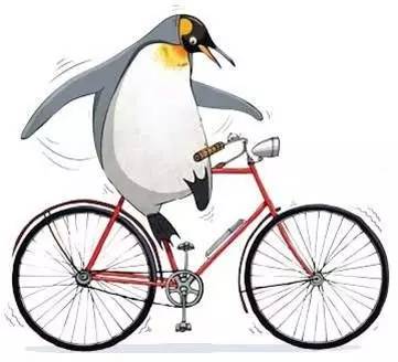 又好玩又有趣的绘本爱不释手,科普绘本推荐7-12岁科普绘本