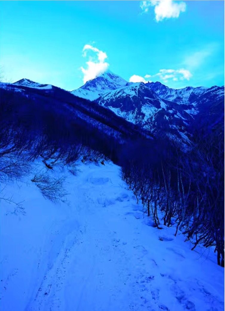 新疆出发到俄罗斯旅游攻略,格鲁吉亚14天旅游攻略