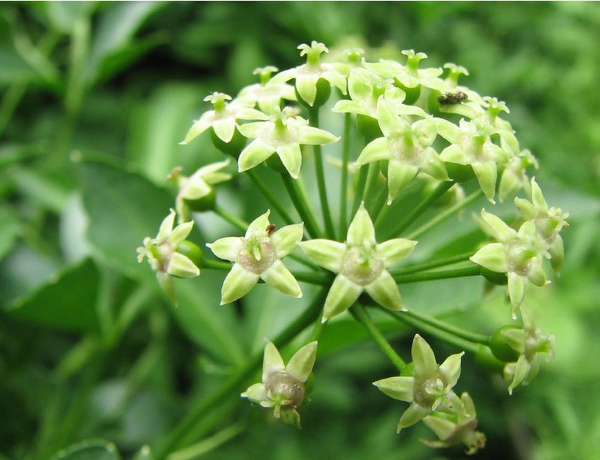 男人吃着锅里想着碗里是真爱吗,男人吃着碗里望着锅里的说说