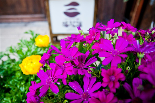 清风和煦，十里芳华，无锡灵山君来波罗蜜多酒店