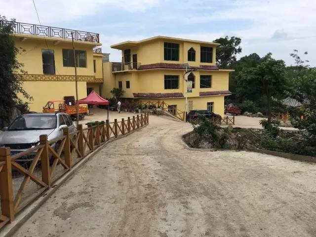 “双百三同”驻村记|瀑乡有棵“摇钱树”