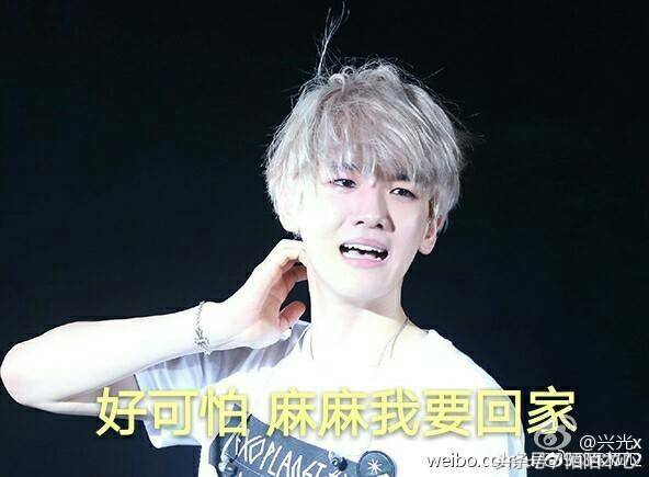 exo伯贤cbx,exocbx小分队