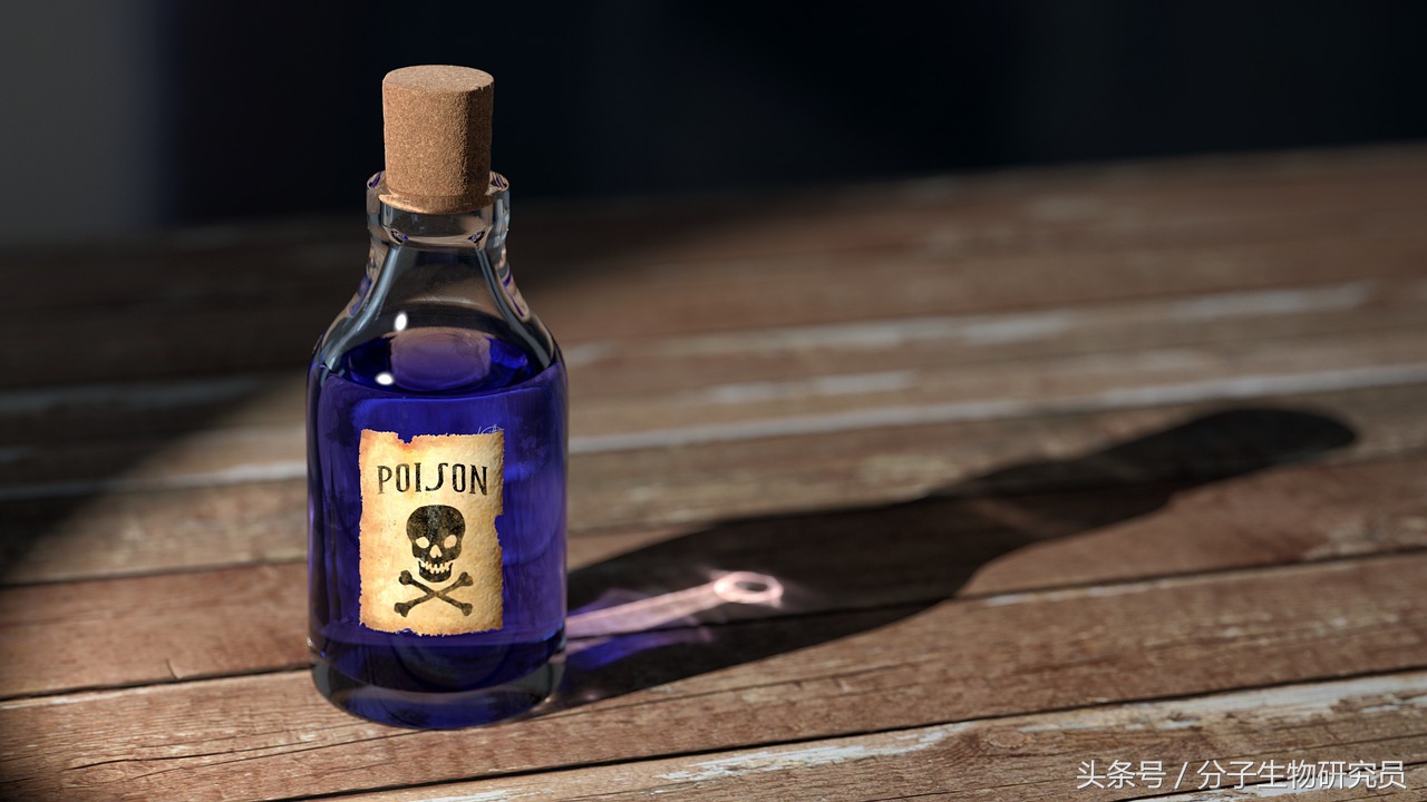 进口化妆品代购的猫腻,韩国代购大牌化妆品安全吗