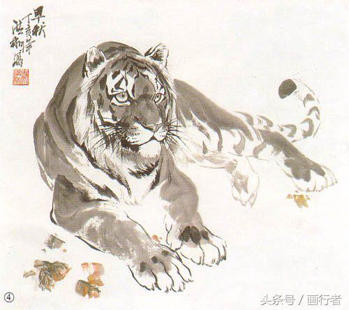 画虎年的老虎,如何画虎年的老虎