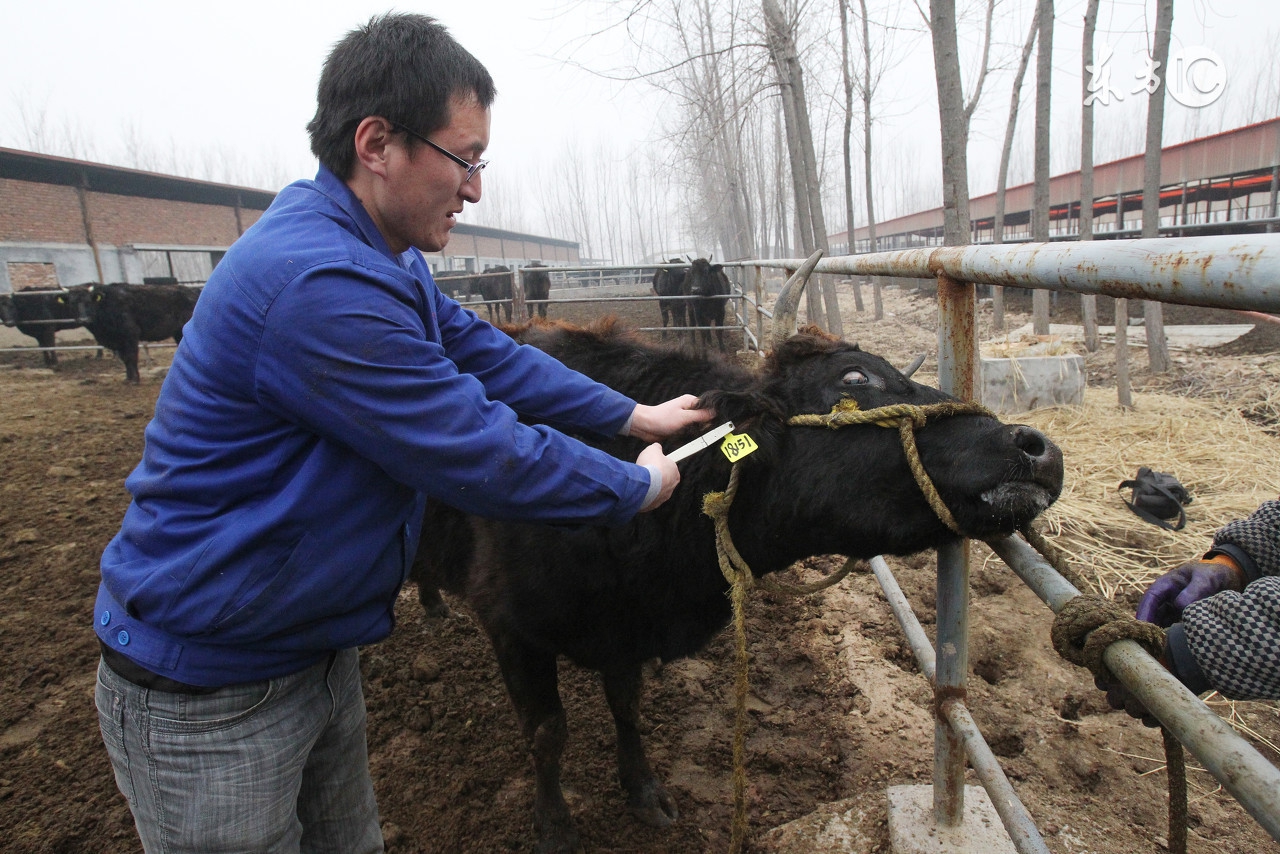 农业物联网有哪些经济效益,农业实现物联网的好处