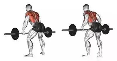 不练背和腿的训练安排,不练背阔肌的动作