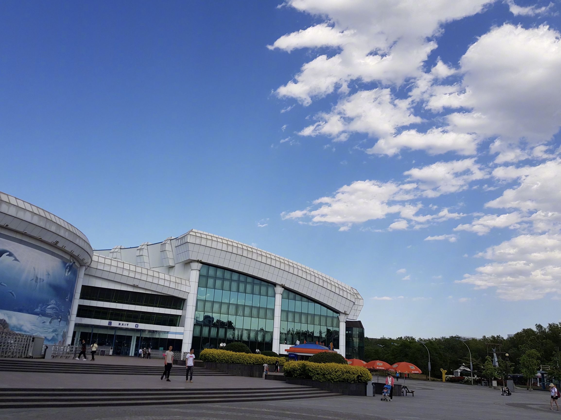 三星s9拍照评测,三星s20+手机拍照测评