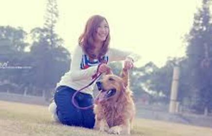 金毛抛弃主人的表现,金毛突然对着主人吼叫原因