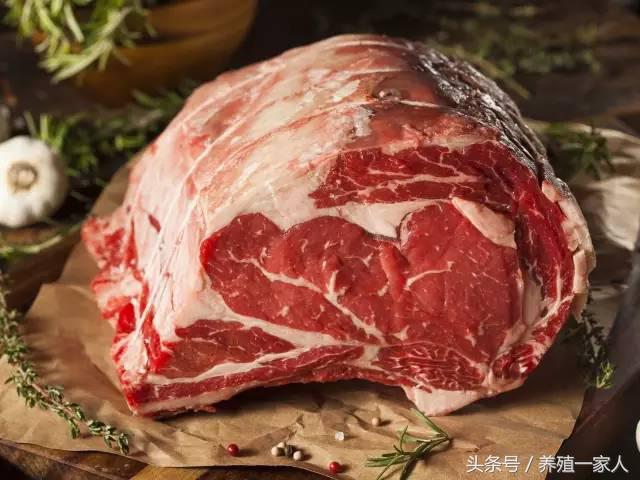 全牛各部位分割图解与吃法,牛肉超齐全的顶级牛肉知识和做法