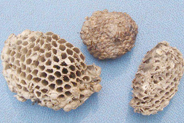 蜂蜜、蜂胶、蜂房、蜂蜡各有何作用?