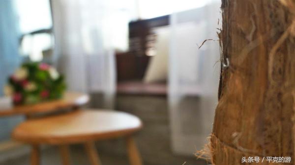 城食｜至纯至美在觅兔，洗净铅华的纯色世界