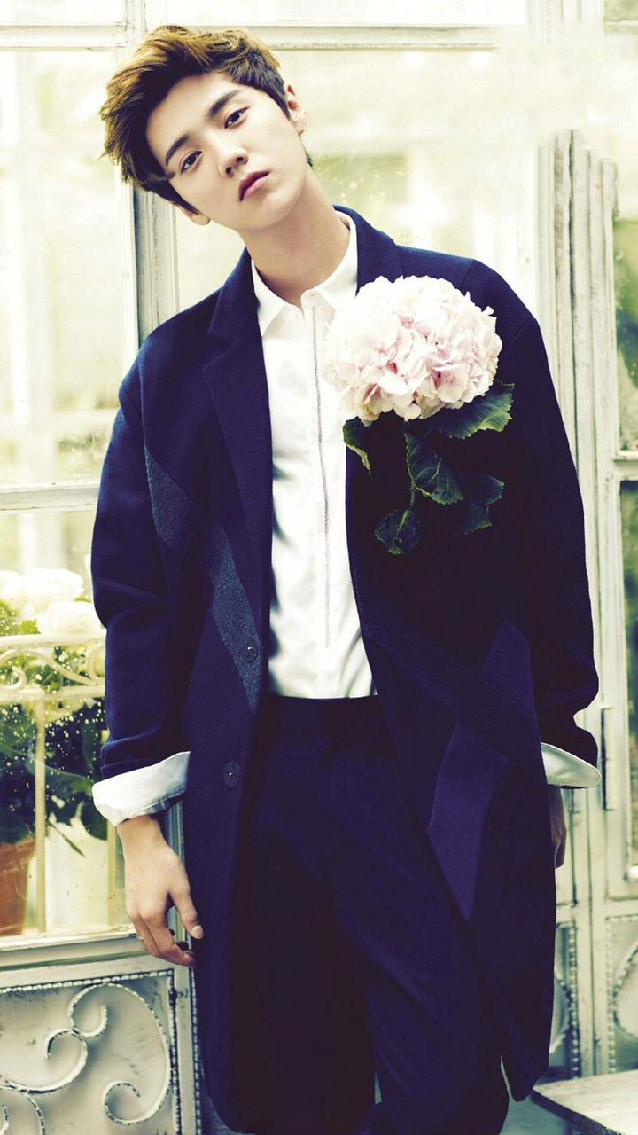 帅气鹿晗主题壁纸高清图片,鹿晗手机壁纸高清帅气动漫