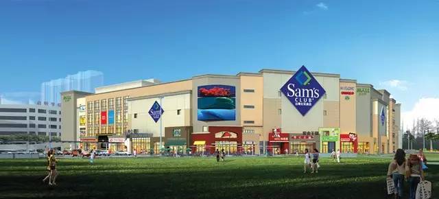 独家体验｜“苗柏”也挡不住珠海有轨电车通车的步伐！