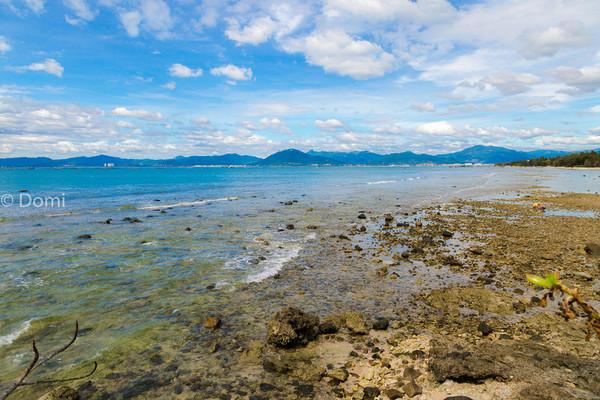一顿海鲜大餐都有什么,海鲜大餐又便宜又营养又好吃