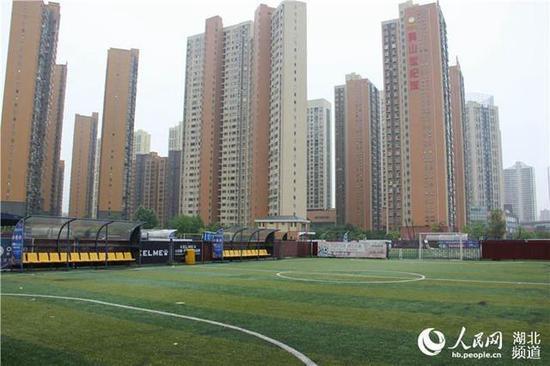 男子花50万改造荒凉小院,男子花百万改造城堡