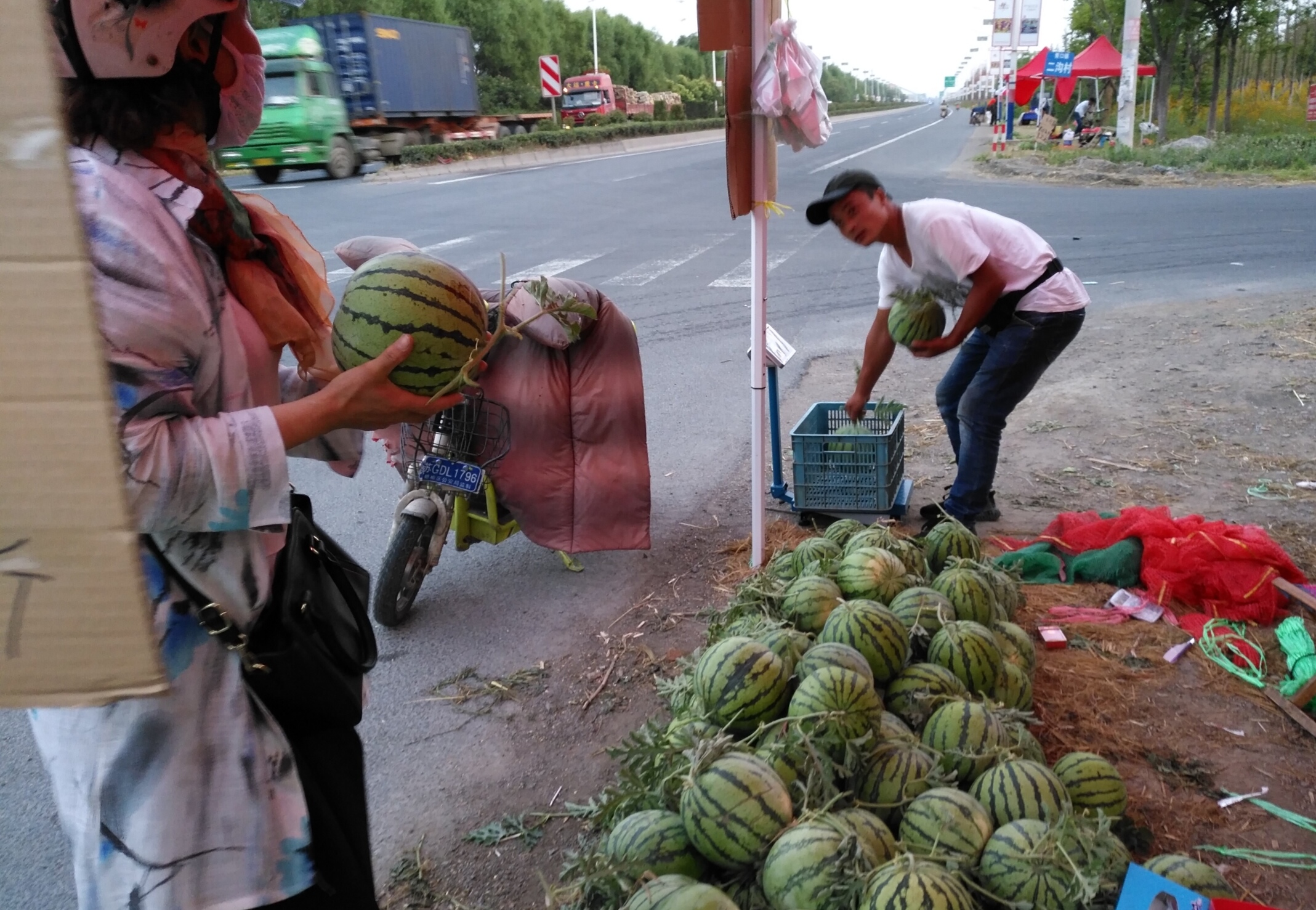 西瓜滞销行情,今年西瓜大概什么时候能便宜