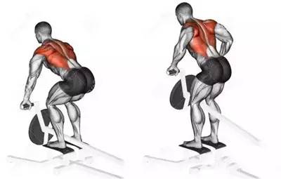 不练背和腿的训练安排,不练背阔肌的动作