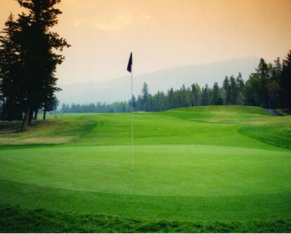 全球高尔夫球球星排名前十,全球十大最好的高尔夫球杆