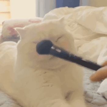 适合少女的腮红合集+腮红刷法+腮红三千问！持续更新你还不收藏？