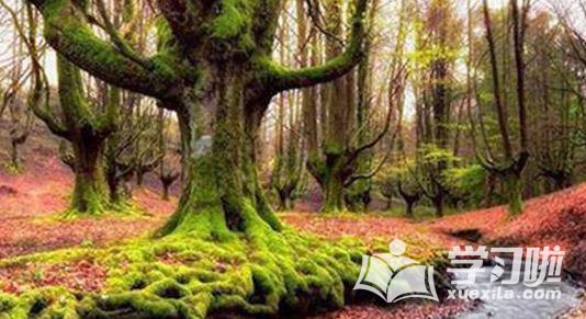 世界最美海岛景点,世界最美潜水景点