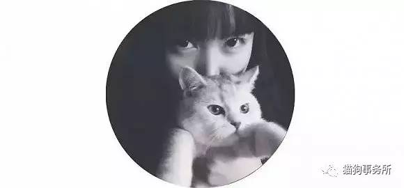 为什么猫可以让一个人的心情变好,猫能使人成熟的从来不是岁月