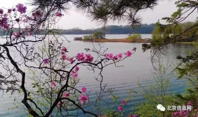 父亲节陪爸爸去玩耍,爸爸和宝贝间的互动父亲节