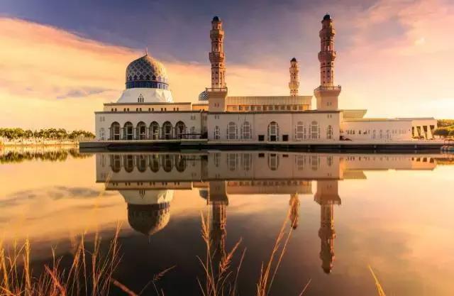 喜大普奔完整版视频,喜大普奔完整视频