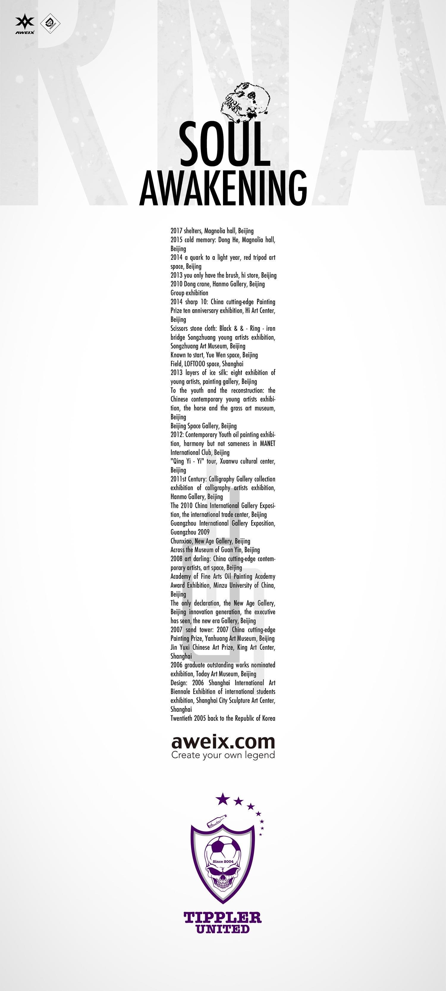 AWEIX｜DH系列定制款球衣SOULAWAKENING发布