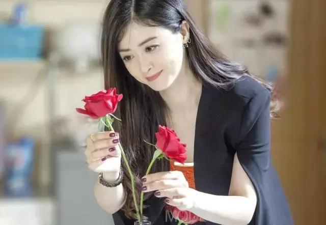 欢乐颂中五美你们喜欢谁,欢乐颂五美哪个最好