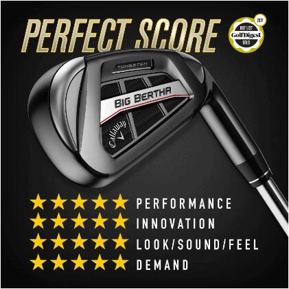 全球高尔夫球球星排名前十,全球十大最好的高尔夫球杆