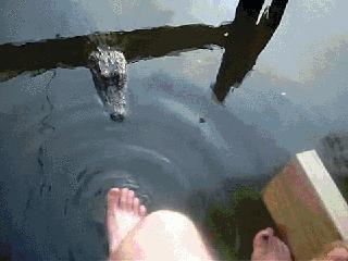 大爷的遮阳工具堪称完美,整体搭配又如此清新脱俗