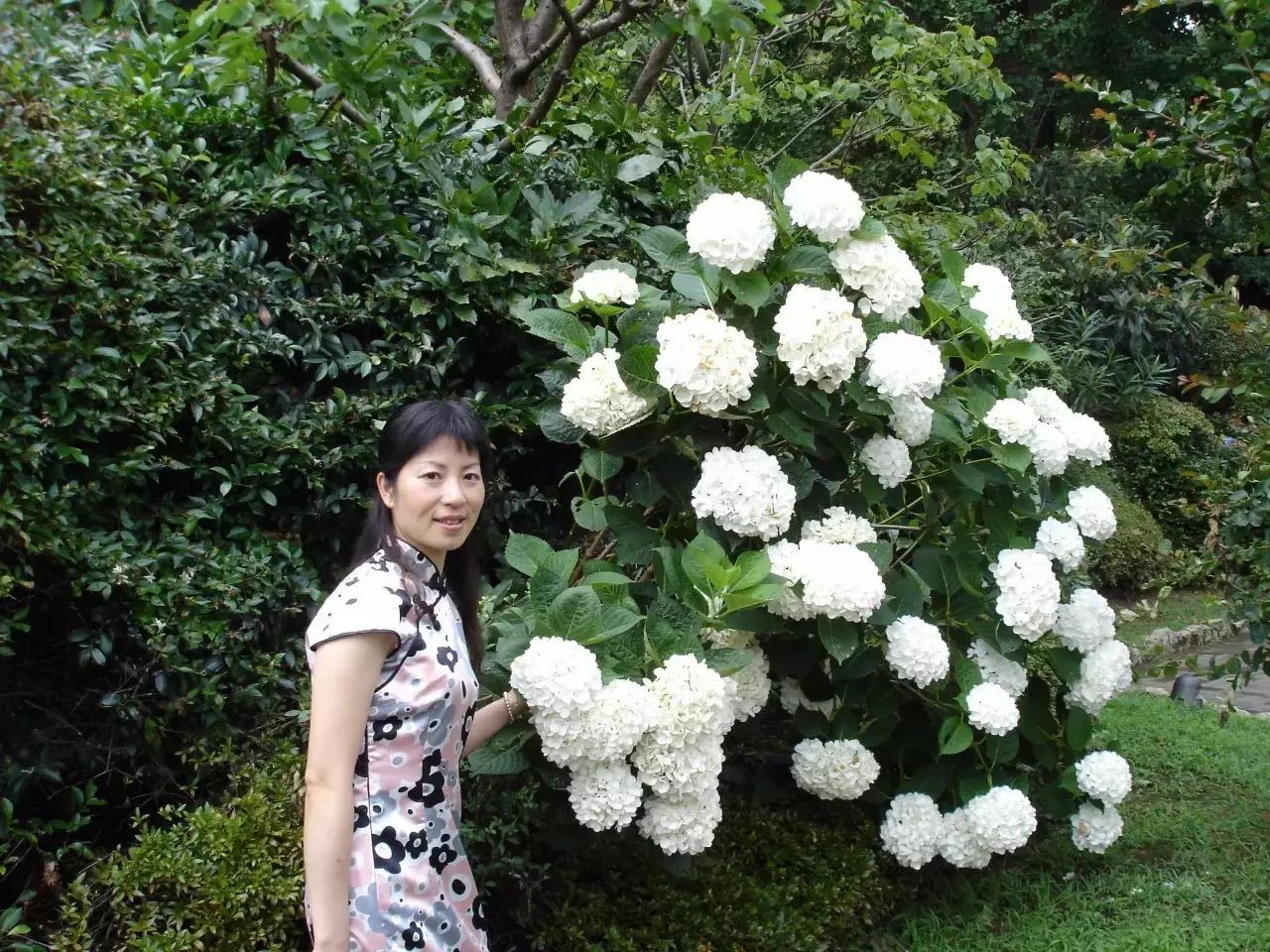 名师教日语半年,名师说专业