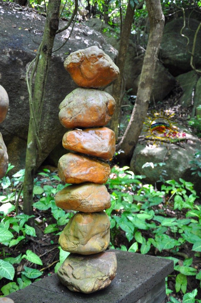 跟着大海去旅行三亚,记录旅行时光娃带老妈三亚看海