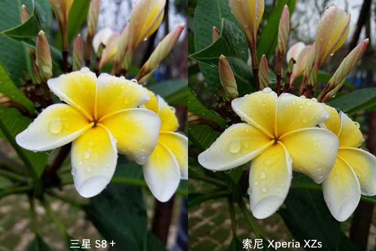 索尼xperiaxzs参数配置,索尼XPERIAXZS怎么样