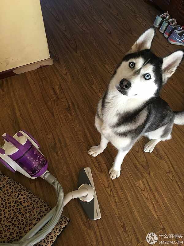 宝家丽吸尘器gy305,宝家丽吸尘器gy-606s