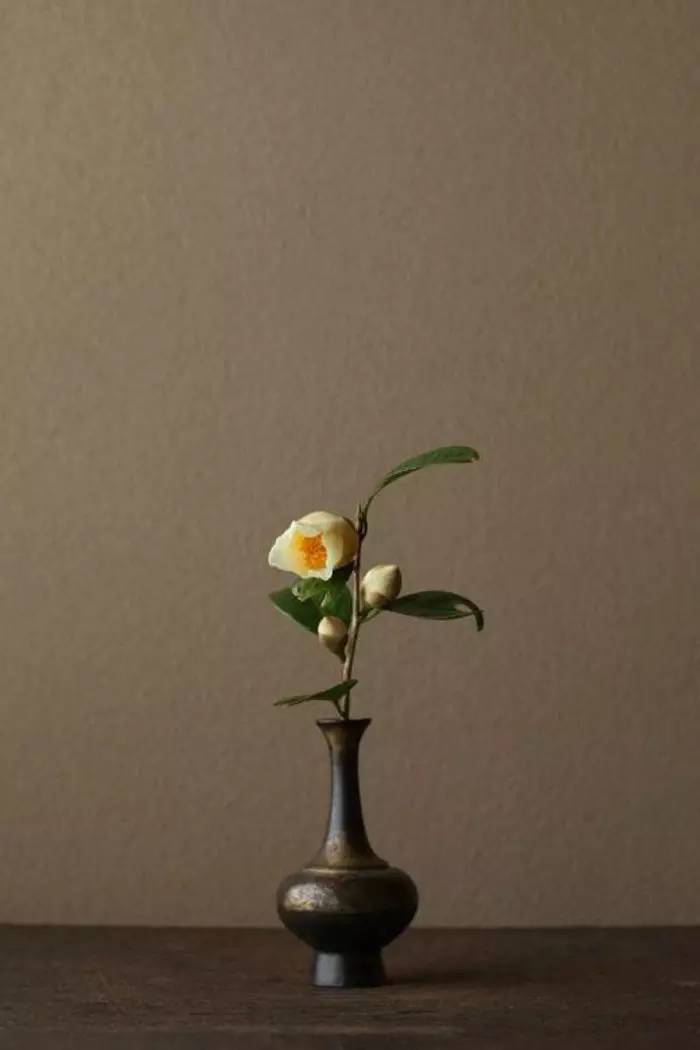 开到荼蘼花事了|川濑敏郎《一日一花》