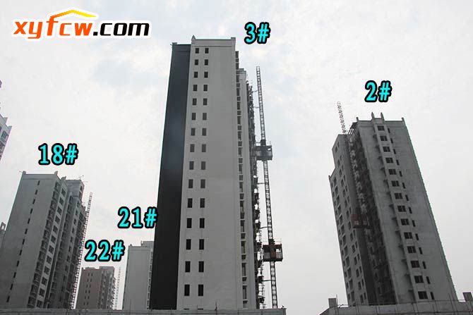 金园世界城二期工程,世界城二期开盘多少钱