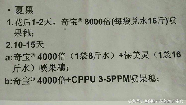 葡萄种植管理技术唐老师,如何管理葡萄才能高产的技术