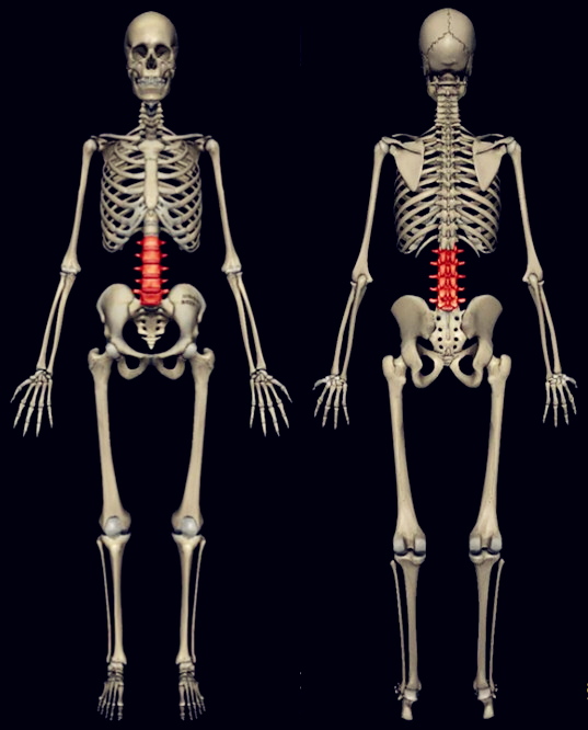 瘦腰腹赘肉的方法,瘦腰腹和肚子的最好方法