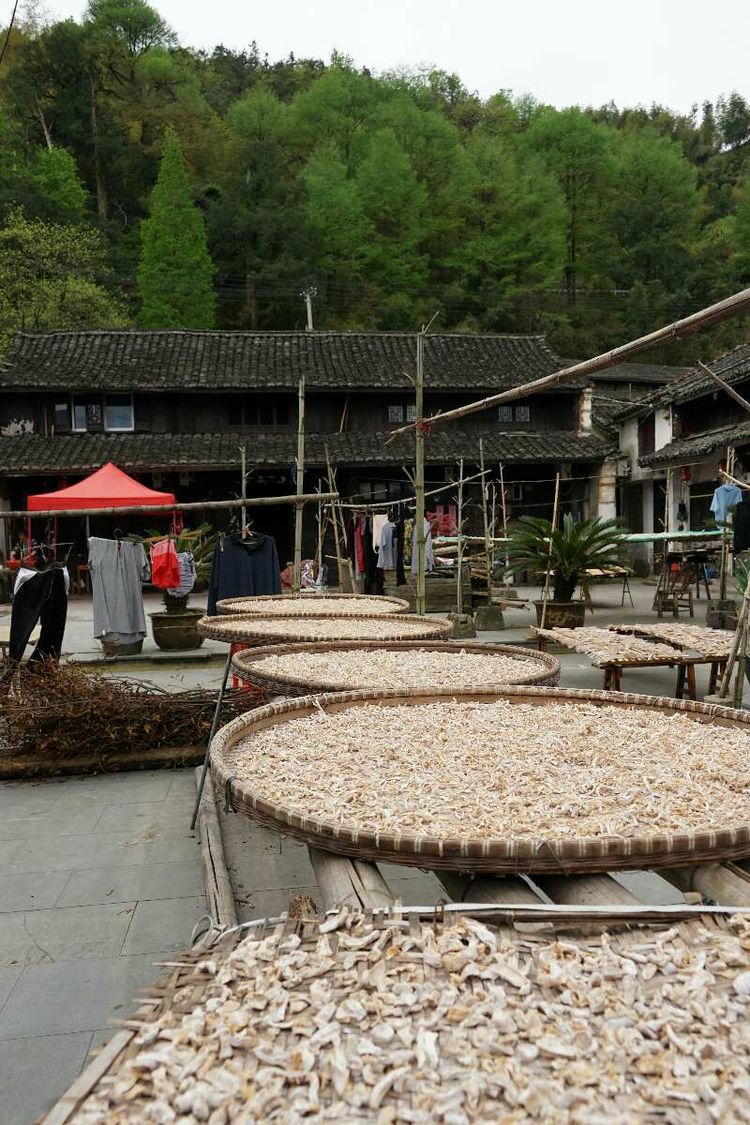 象山县石浦镇是城镇吗,象山石浦镇古城地图