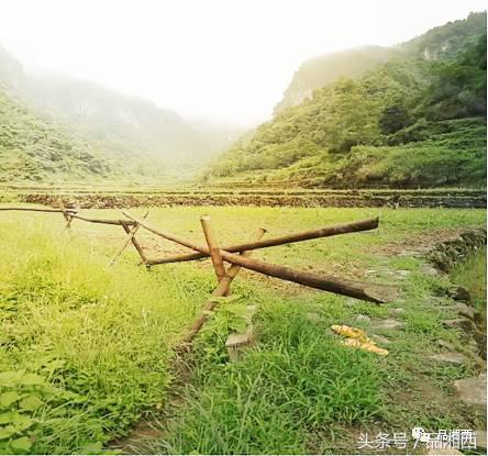 百年前，骤然消逝的苗寨“成江鬼井”，至今还是迷一样的存在
