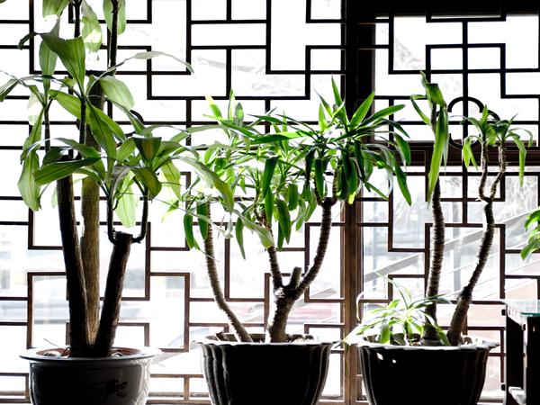 气温高怎么办防暑降温,权威防暑降温小常识